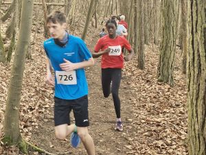 Unterfränkische Meisterschaften Crosslauf in Gambach